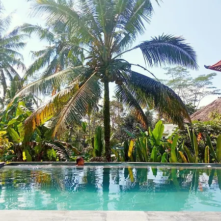 Ubud Nadi Villa